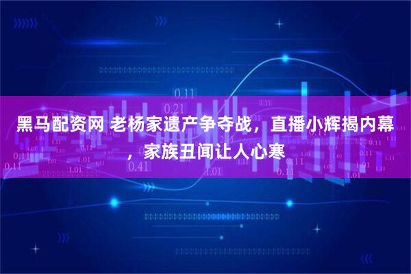 黑马配资网 老杨家遗产争夺战，直播小辉揭内幕，家族丑闻让人心寒